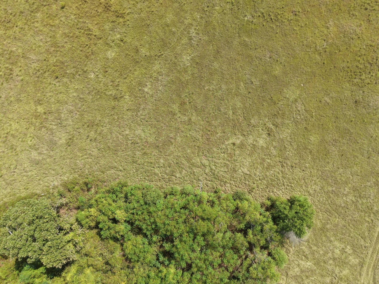Selected drone photograph — Montgomery drone capture · AD-613CB6BB