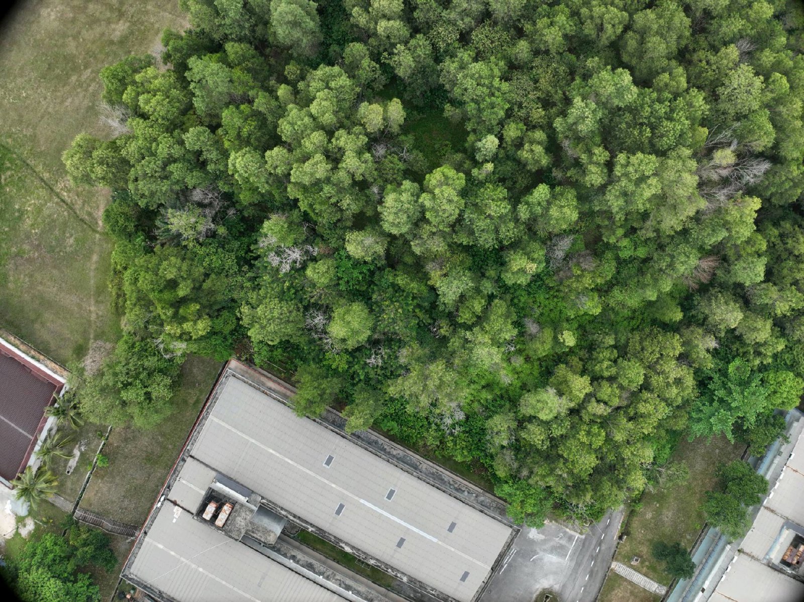 Selected drone photograph — Kajang drone capture · AD-F1270367