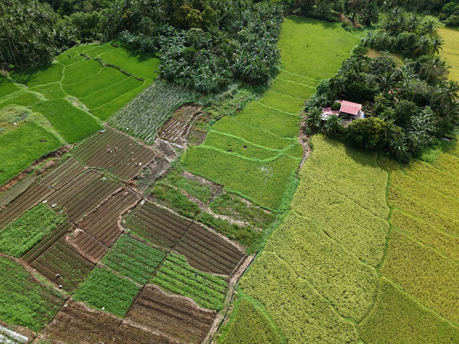 Selected drone photograph — City of Tayabas drone capture · AD-9321007A