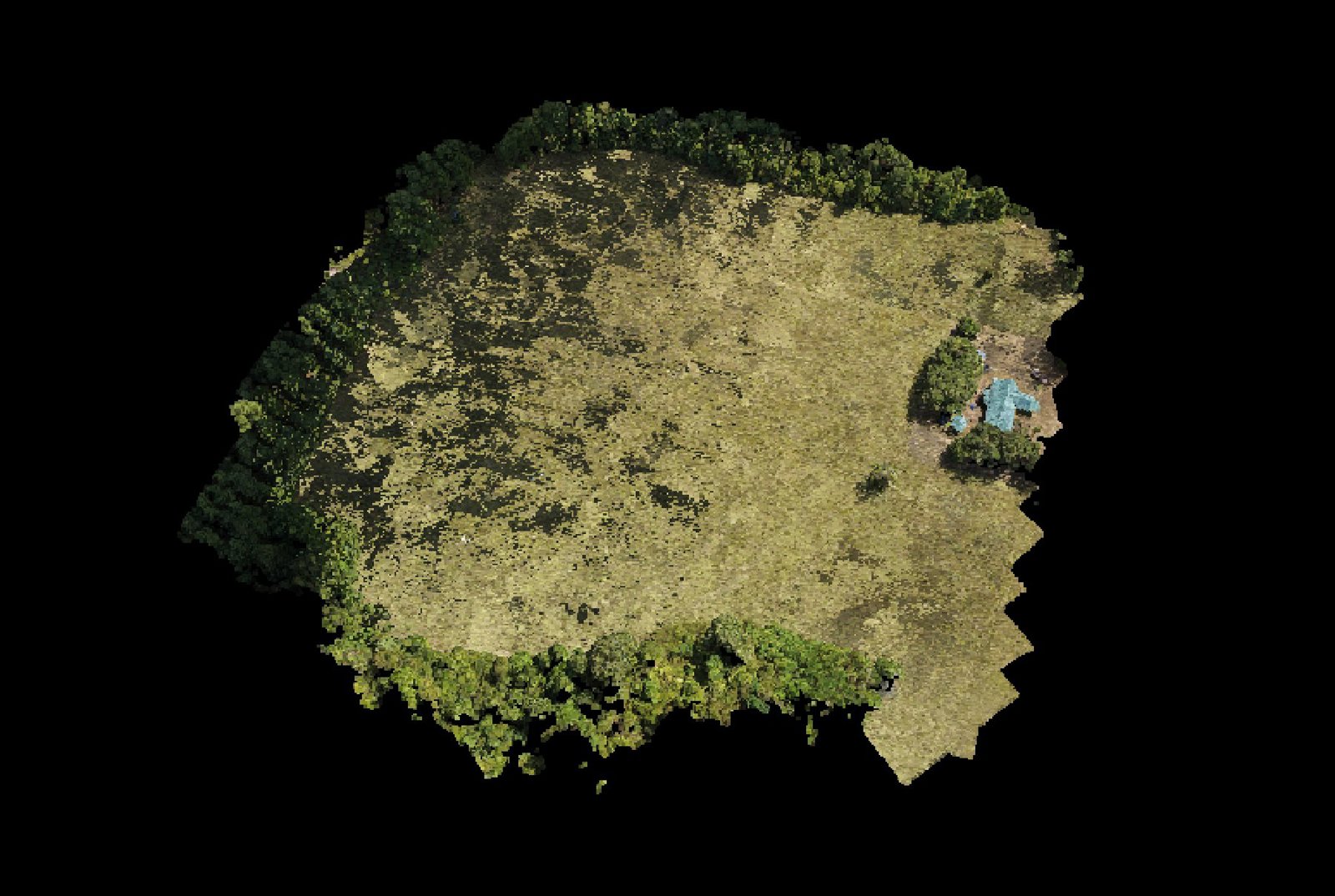 Point-cloud model preview — Montgomery drone capture · AD-613CB6BB