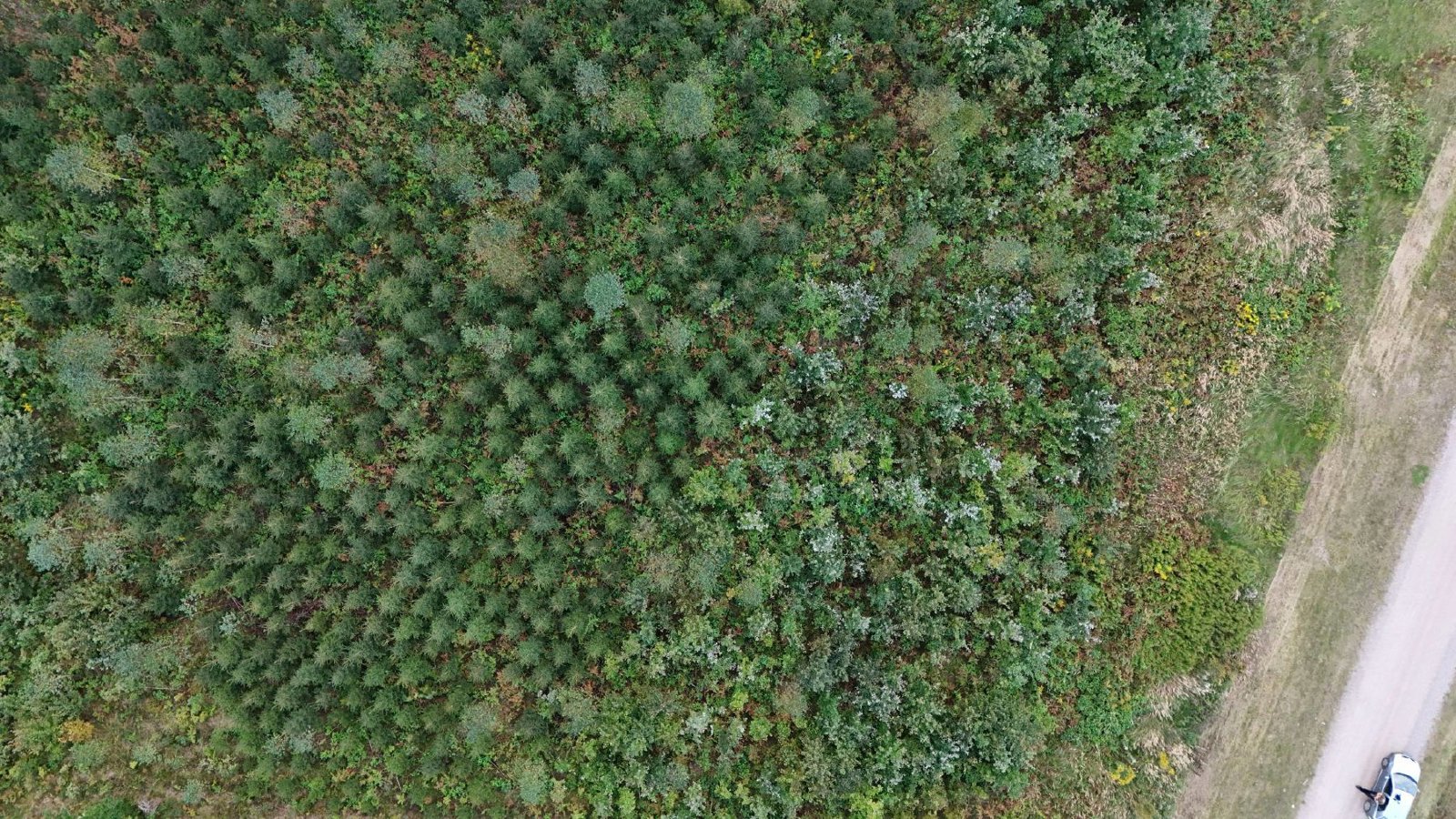 Selected drone photograph — Ełk County drone capture · AD-AD07FEAD