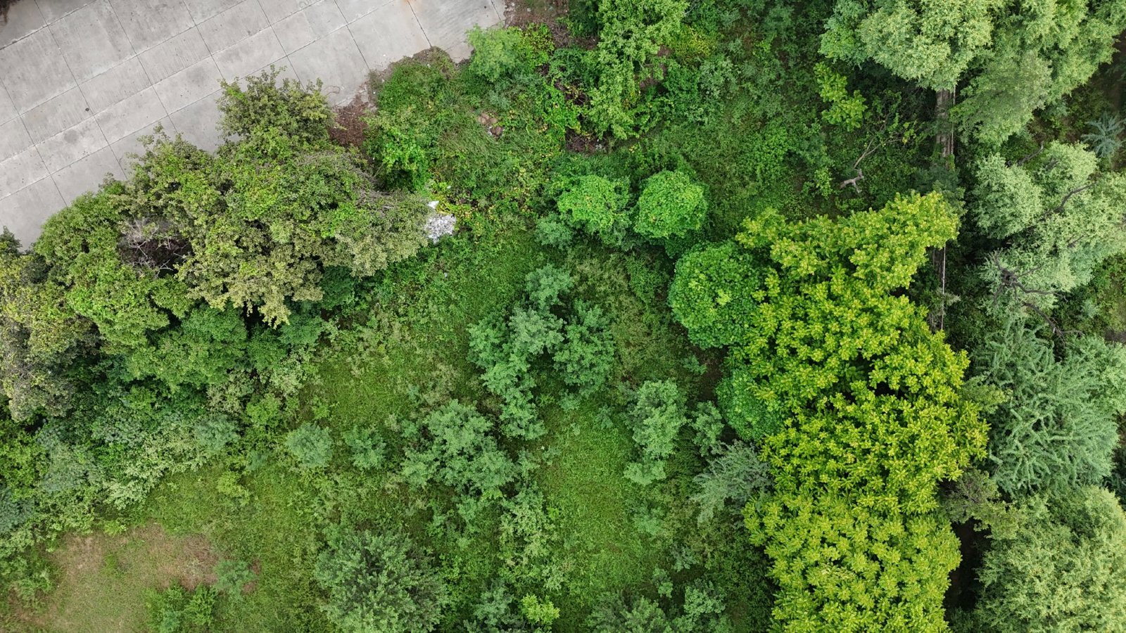 Selected drone photograph — Rohtak drone capture · AD-8028C4C4