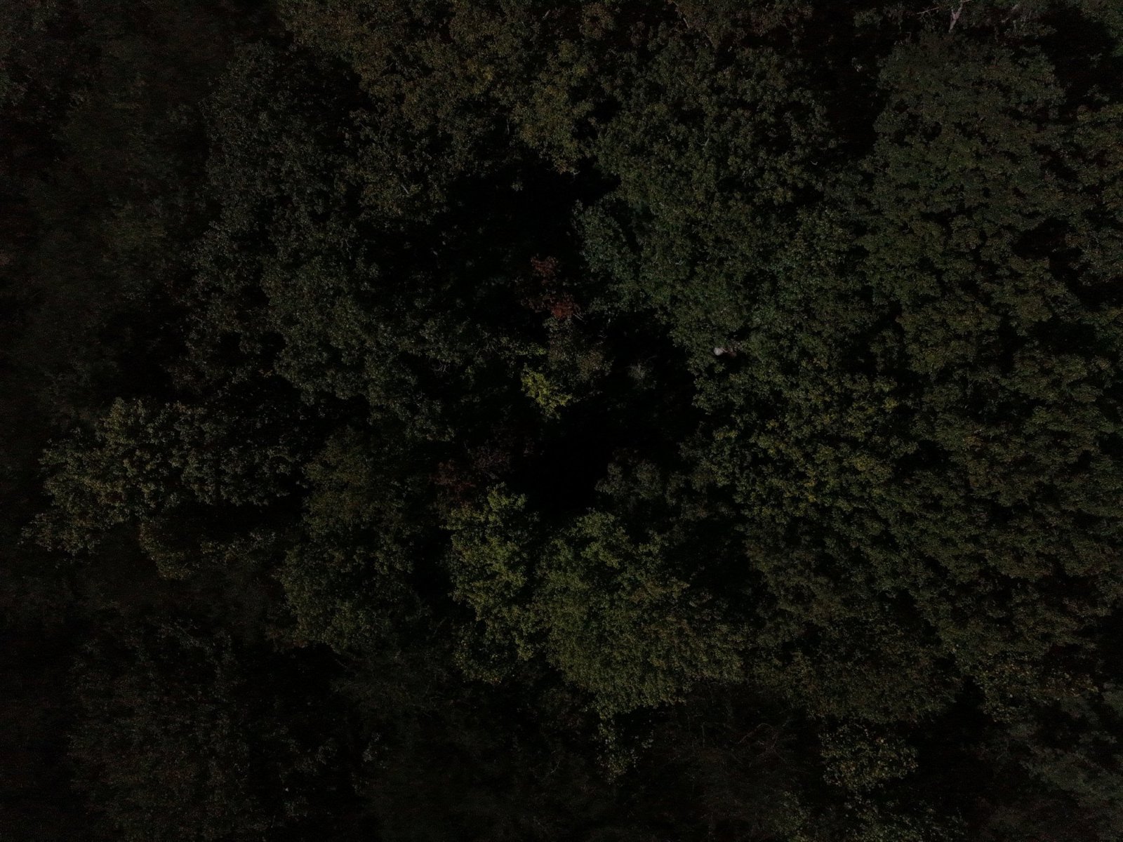 Selected drone photograph — Black Mountain drone capture · AD-98389BC9