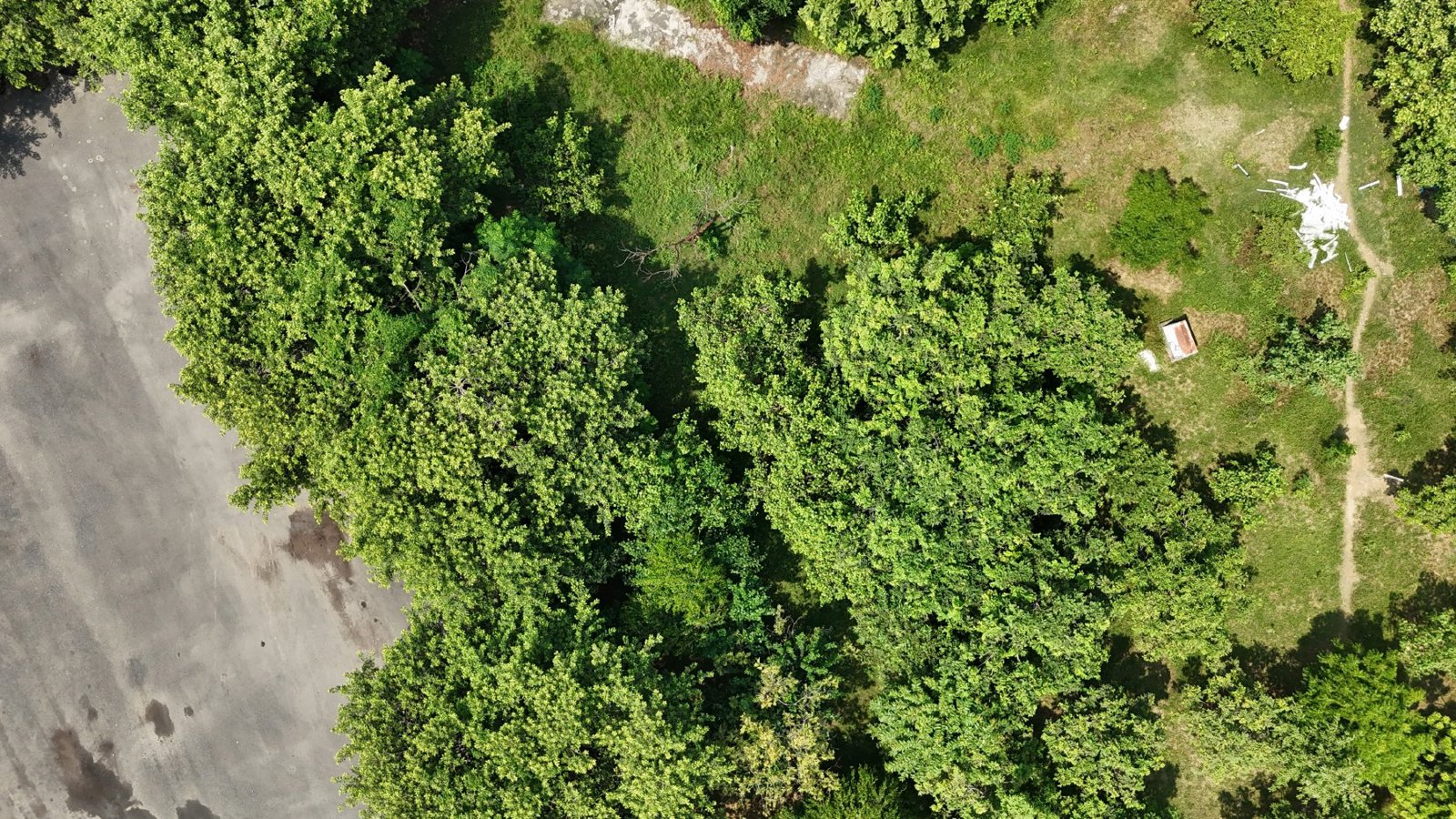 Selected drone photograph — Rohtak drone capture · AD-8028C4C4