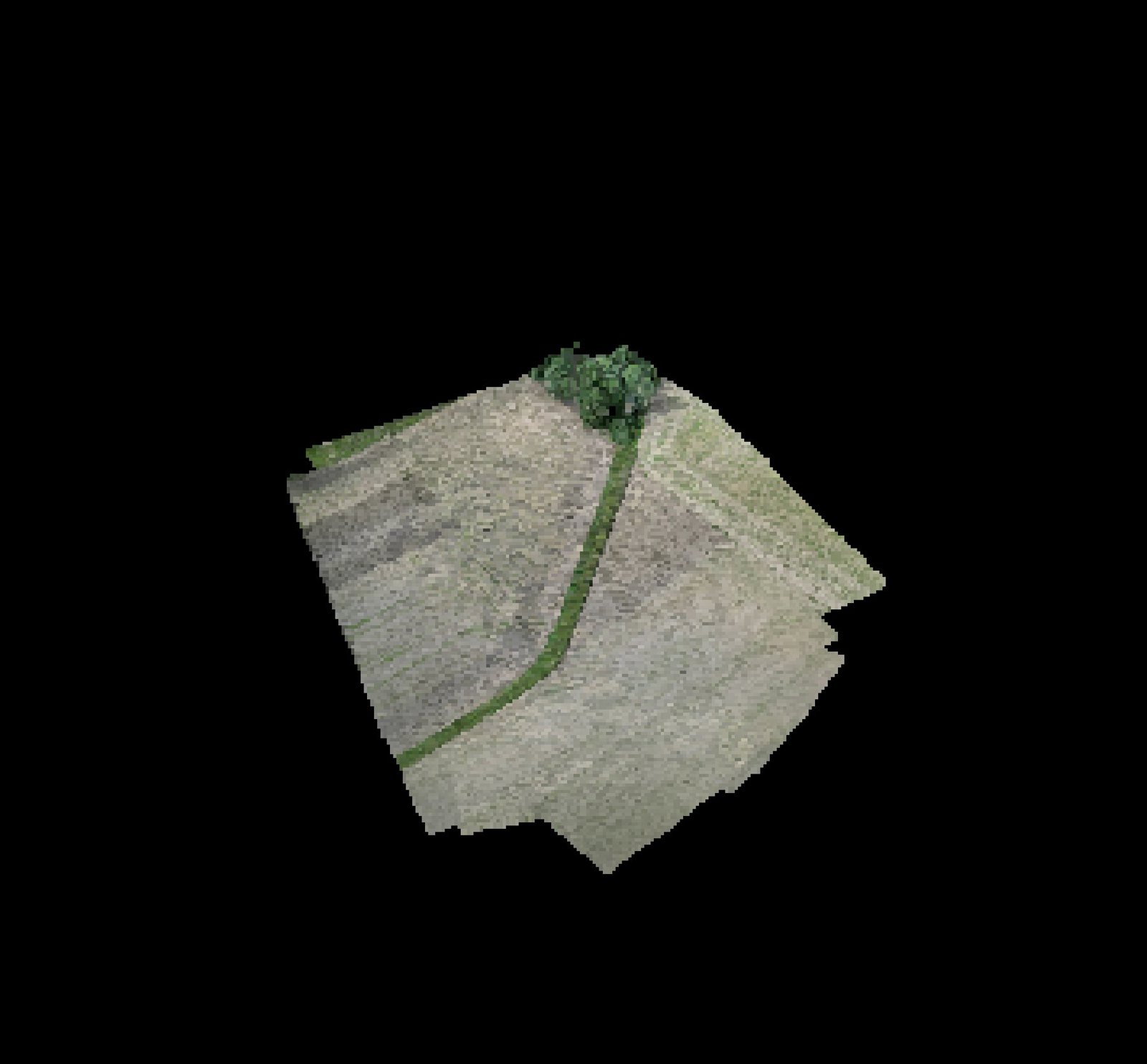 Point-cloud model preview — Paliszewo drone capture · AD-3386514B