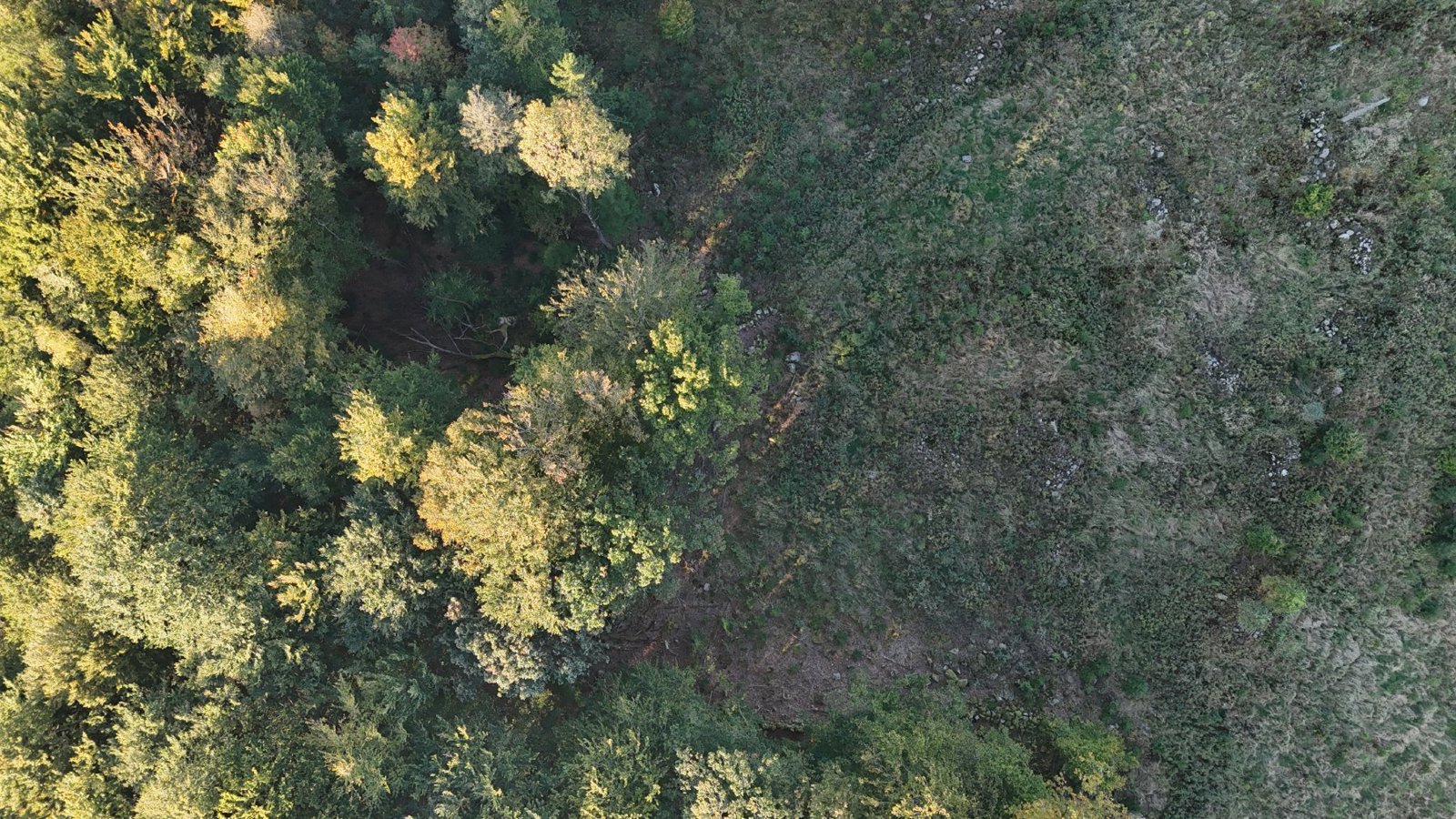Selected drone photograph — Halland County drone capture · AD-A650B333