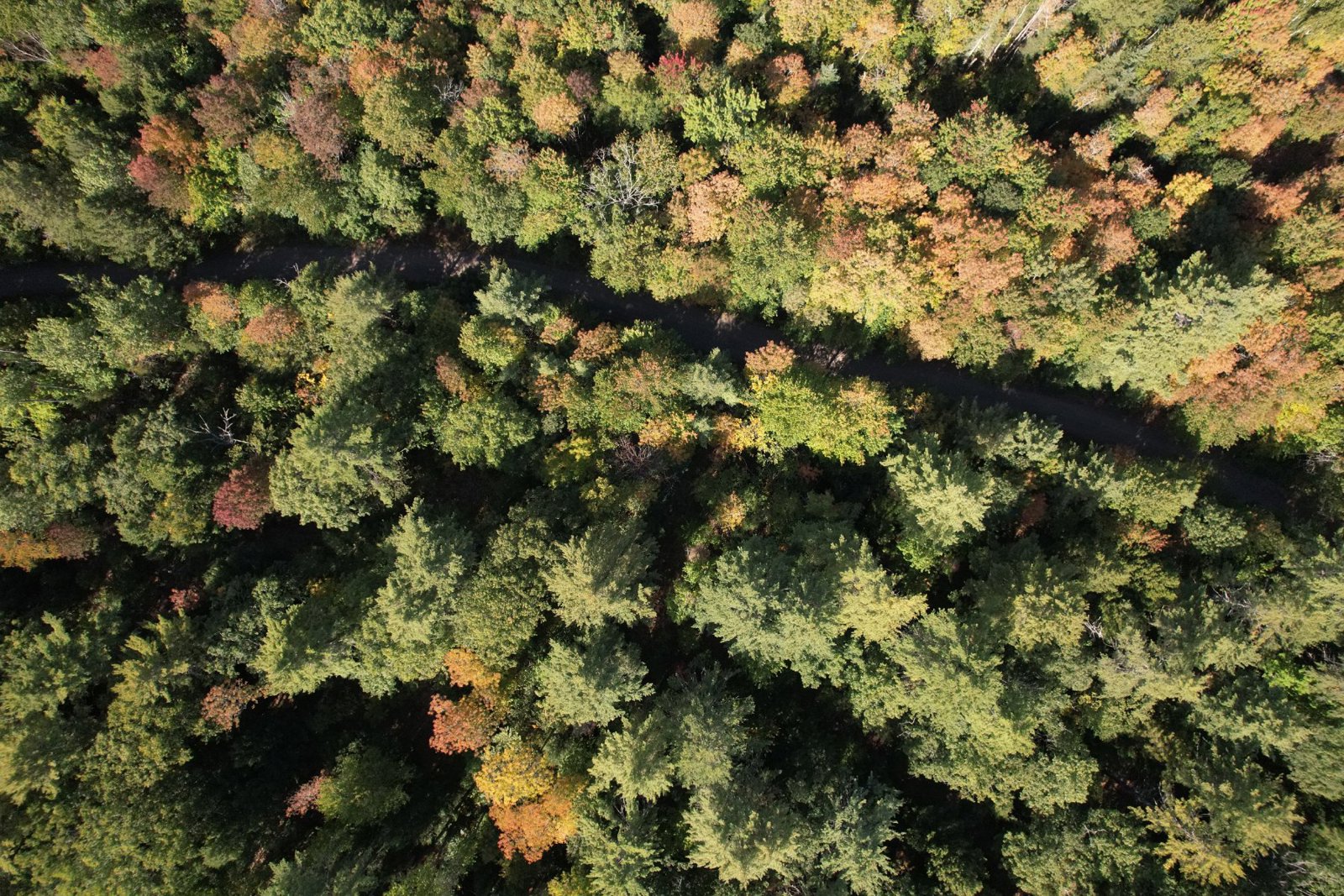 Selected drone photograph — Hallowell drone capture · AD-CCF66D3C