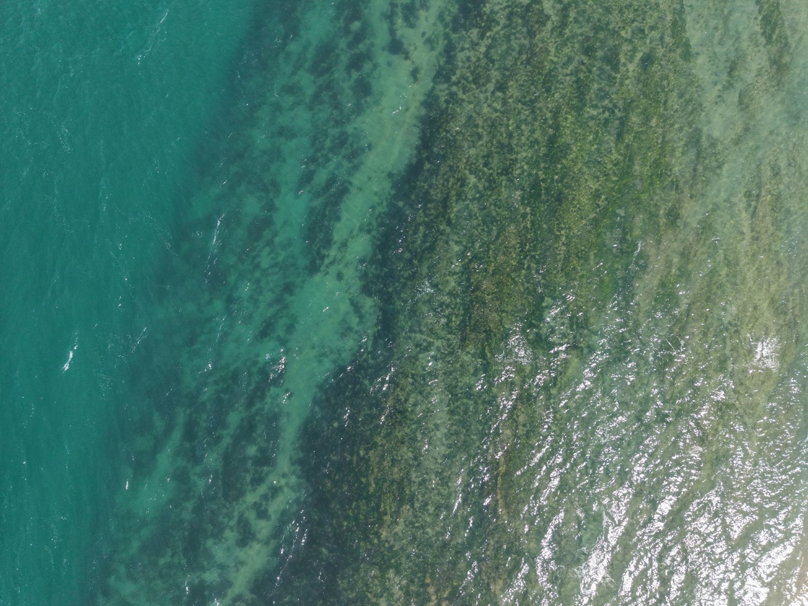 Selected drone photograph — Inverloch drone capture · AD-D1531529