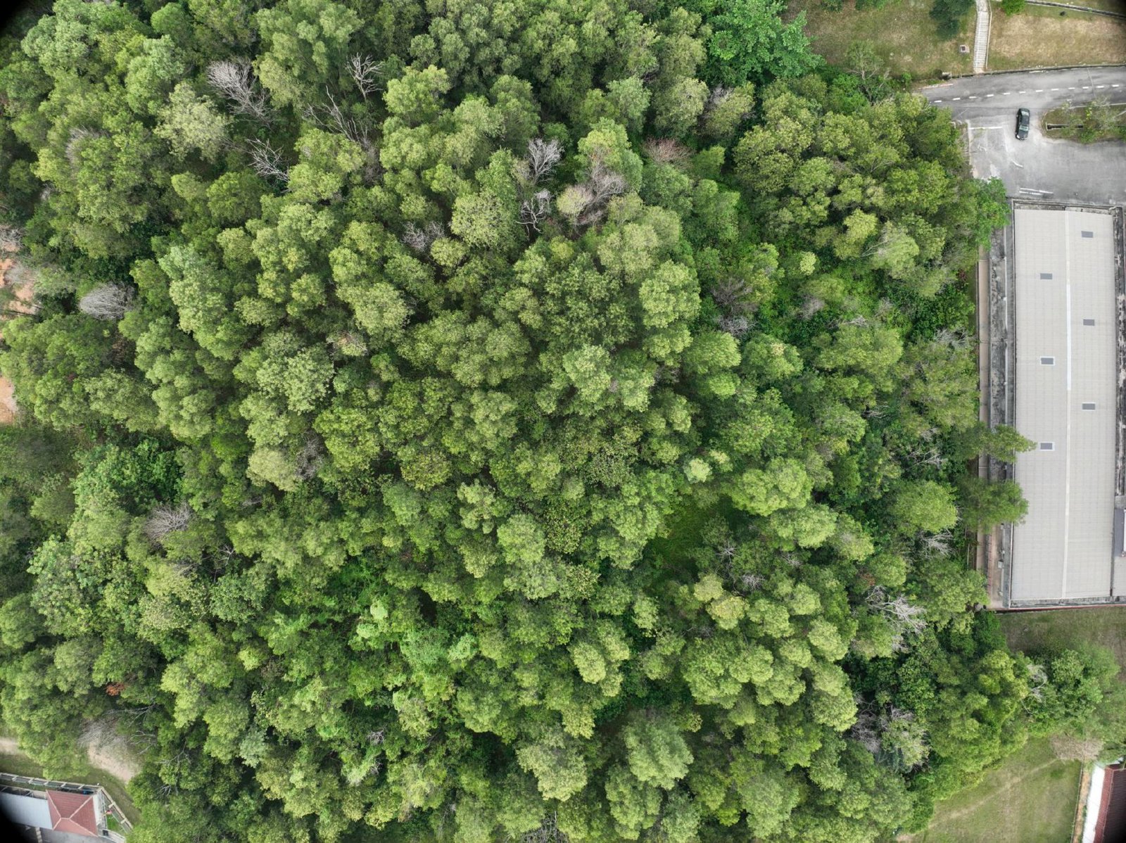 Selected drone photograph — Kajang drone capture · AD-F1270367