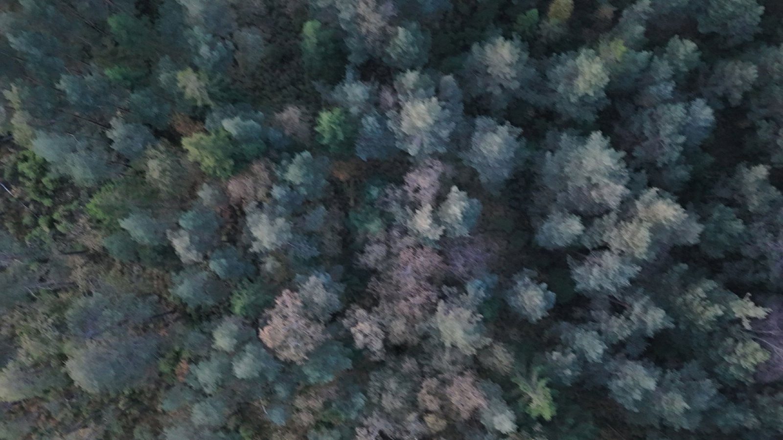 Selected drone photograph — Halland County drone capture · AD-A650B333