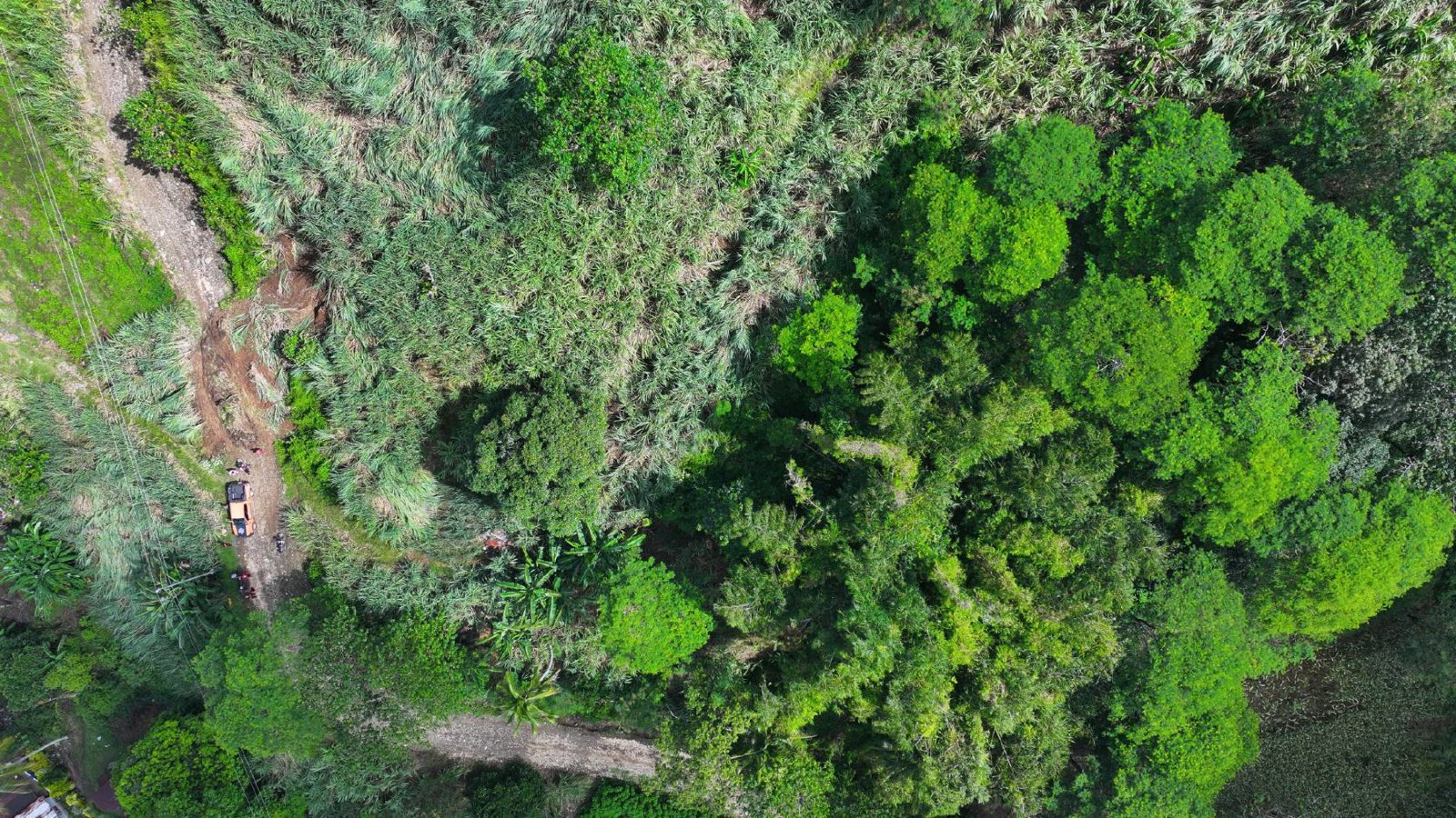 Selected drone photograph — Quezon drone capture · AD-E31CB416